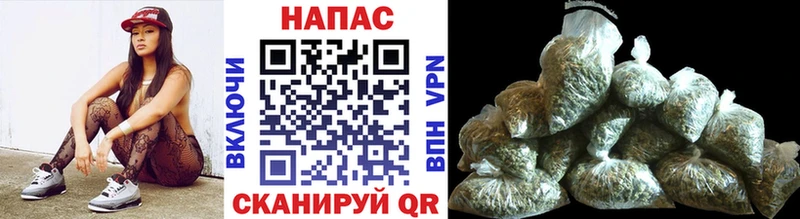 Каннабис SATIVA & INDICA  продажа наркотиков  Черняховск 